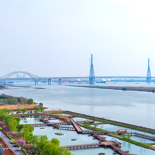 泰兴